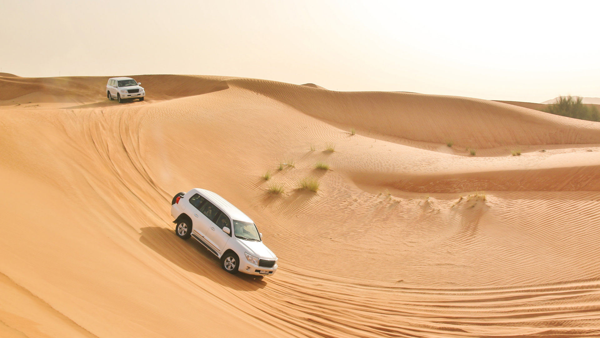 Dubai Automobile Trading Services